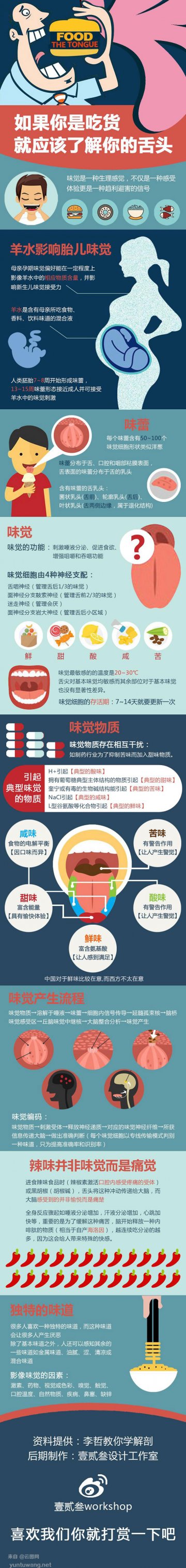 信息图：趣味解剖你的舌头
