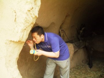 寄生虫病所派员赴陕西宜川调查媒介白蛉