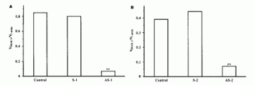 IL-1受体相关激酶1和2协同调控IL-1诱导的NF-κB活化