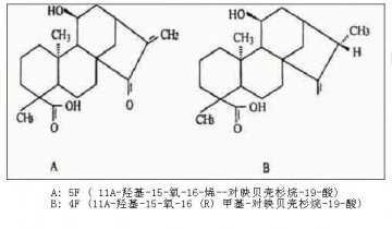 纯化半边旗抗肿瘤有效成分5F的新方法