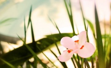 不同体质的人如何“惊蛰养生”