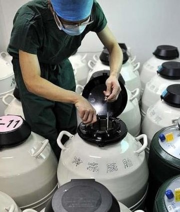 实拍试管婴儿取卵抽精过程