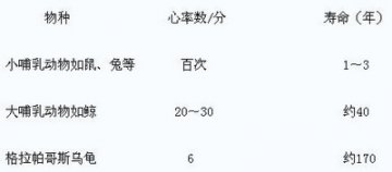 心跳缓寿命长 按状况选运动