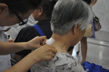 成人敷三伏贴