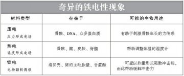 围绕着我们的生物电