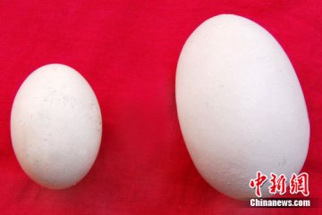 惊！这8种隔夜食物有毒
