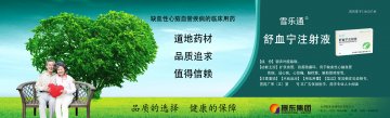 舒血宁注射液-官方高清创意广告(晋药广审(文)第2014090051号)