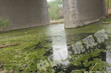 同力水泥污染肆掠 鹤壁环保监管遭质疑