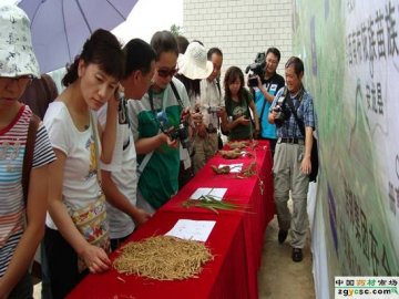 全国第八届天然药物资源学术研讨会专家到施秉县牛大场镇考察指导工作