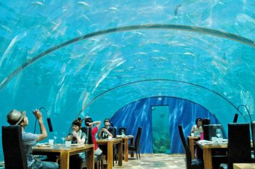 英媒盘点全球最另类餐厅：“海底世界”餐厅