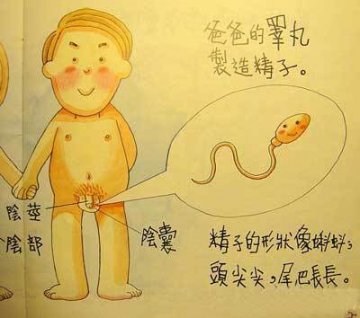 香港最受欢迎的儿童性教育图片
