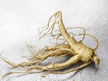 男性养生：10大最给力补肾壮阳中药