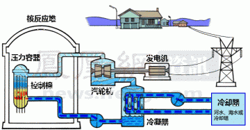 麻省理工博士：为什么我不担心日本的核电站