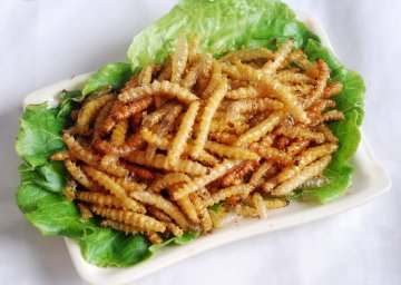 油炸竹虫配糯米饭