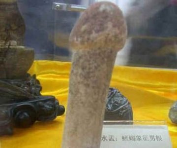 曝光古代女性洞房神秘性用品