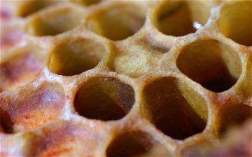 人类13种最怪异的恐惧症