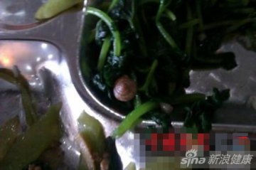 10.青菜中的蜗牛