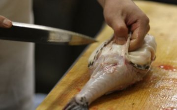 一生必尝20种奇怪食物