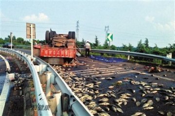 中国进入“烧烤”模式