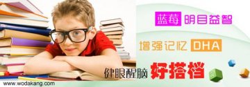 增强脑力保护视力 DHA+蓝莓为孩子提供学习源动力