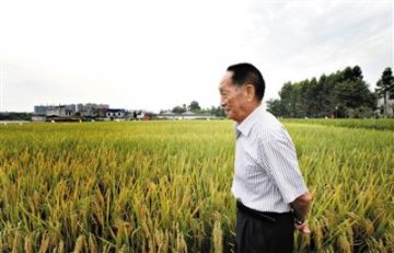 袁隆平：全球一半稻田是杂交稻是自己梦想