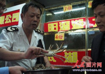台湾“卫生署”称大陆阳澄湖大闸蟹含致癌物