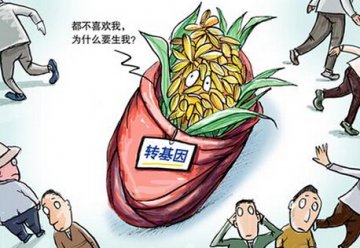 转基因玉米致癌、致老鼠减少等传言被证伪