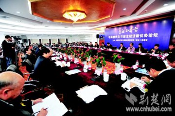中药现代化与湖北经济新优势论坛举行 尹汉宁致辞