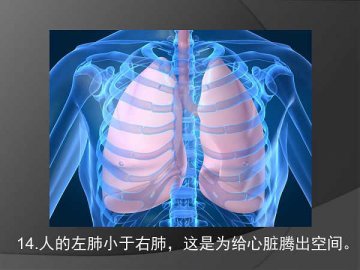 19个有趣的人体奥秘