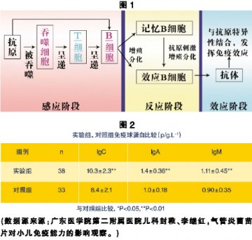 气片：有效生物抗病毒