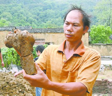 村民打井挖出十余万年前古生物化石
