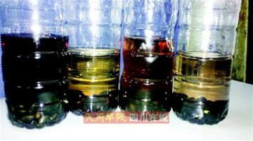 泡水就褪色 这黑豆是染的？