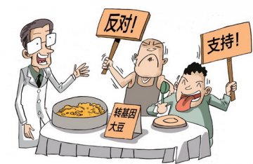 转基因“豆”争