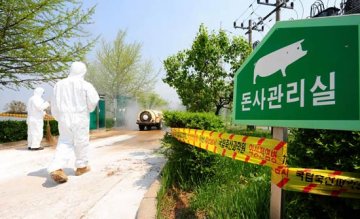 韩国又发现9名疑似猪流感病例
