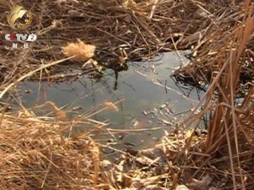 河北冀衡药业被曝违法排污20多年