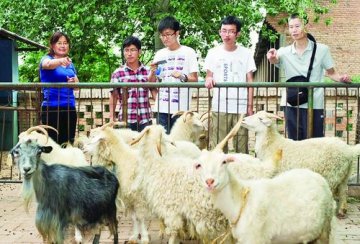 克隆鱼诞生50年中国克隆技术陷入困境