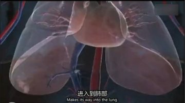 医学解读：男子腿绑香肠冒充阳物为何丧命