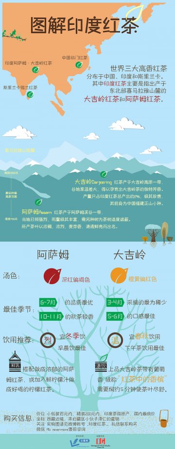 信息图：印度红茶