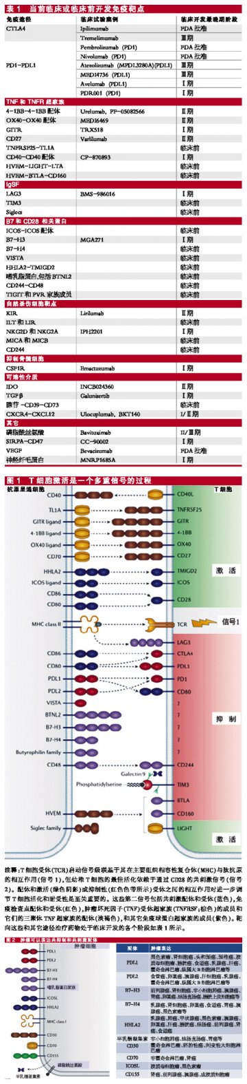 细说TNFR超家族六大受体