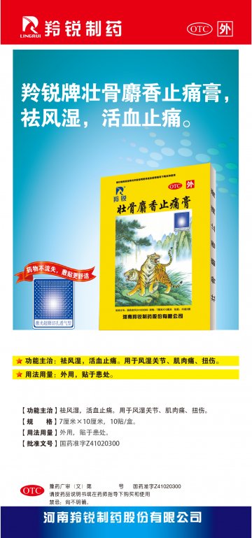 壮骨麝香止痛膏-(Z41020300)精美广告图欣赏