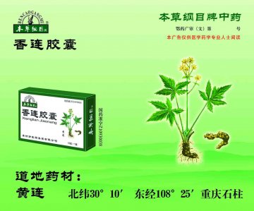 香连胶囊-官方高清创意广告(鄂药广审(文)第2012120216号)