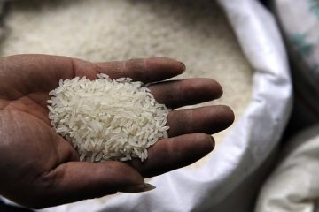 广州食药监局通报镉超标大米品牌 曾三缄其口