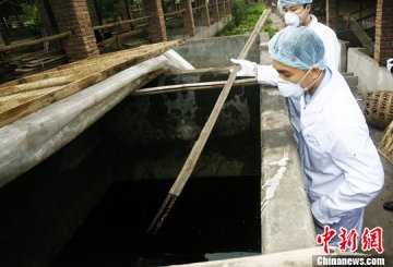 年中特稿：中国开展强大攻势 整肃食品安全