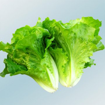 冬天多吃六类食物可缓解嘴唇干裂