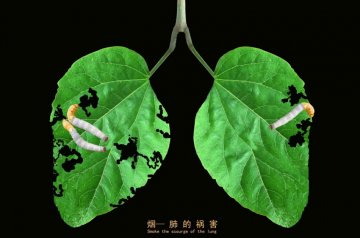 烟-肺的祸害