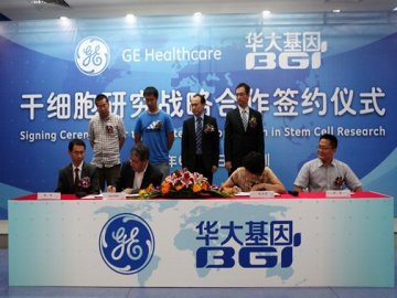 GE医疗集团与华大基因宣布共同开展干细胞研究项目