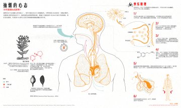 信息图：为何戒烟如此困难？