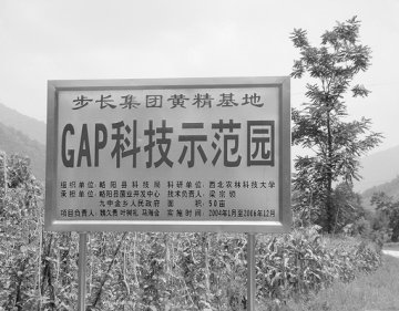 秦川腹地药业旺--咸阳市医药产业发展综述