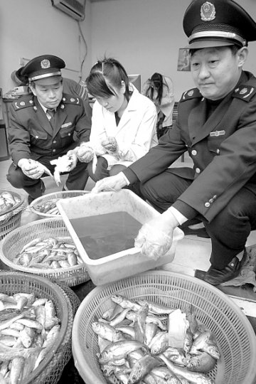 连云港查获大量染色黄鱼