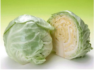 圆白菜
